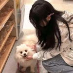 食物大作战破解版下载
